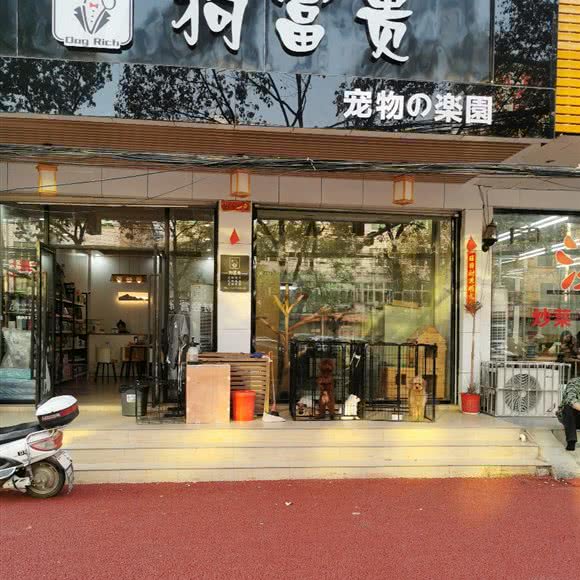 狗富贵宠物乐园:黄冈市麻城市