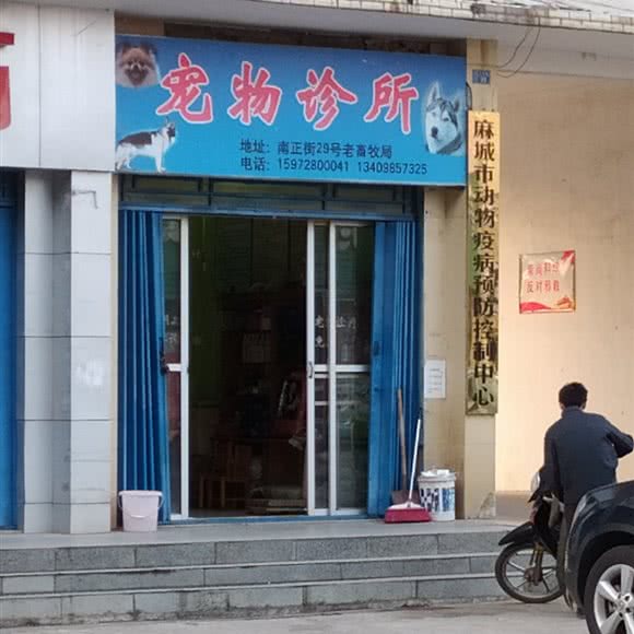 宠物诊所:黄冈市麻城市