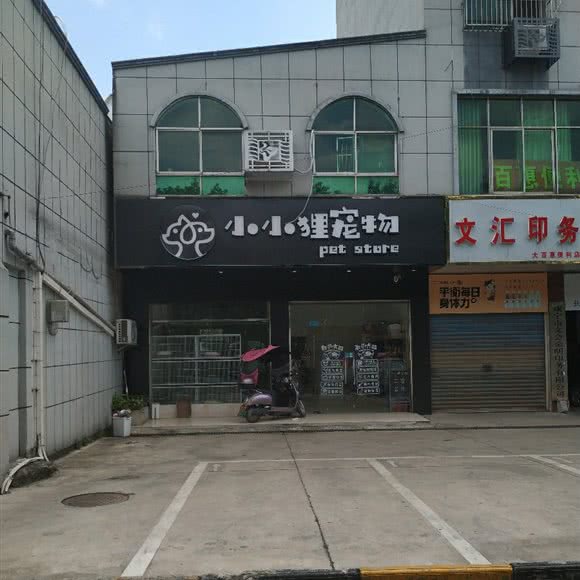 小小狸宠物:咸宁市咸安区