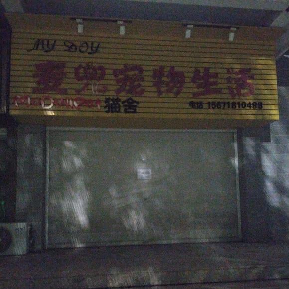 麦兜宠物生活:咸宁市咸安区