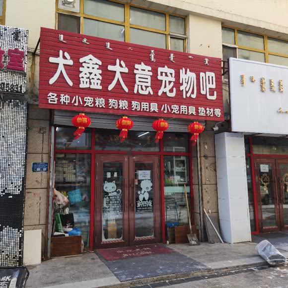 犬鑫犬意宠物吧:呼伦贝尔市海拉尔区河东附近