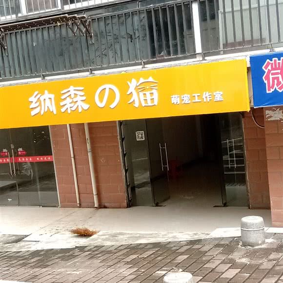 纳森猫萌宠工作室:咸宁市赤壁市