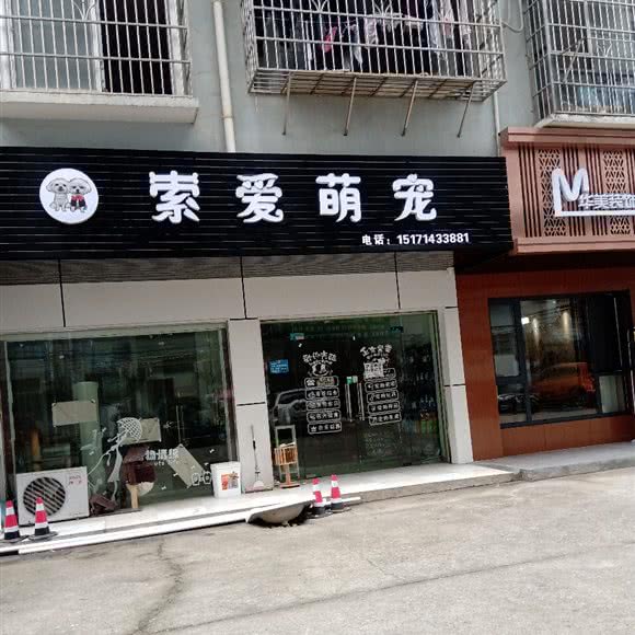 索爱萌宠:咸宁市赤壁市