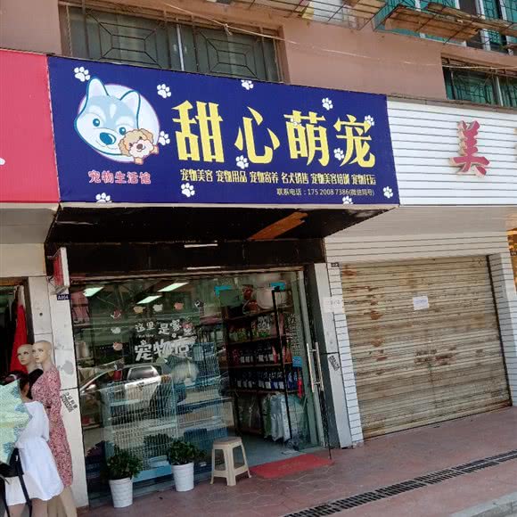 甜心萌宠:咸宁市赤壁市