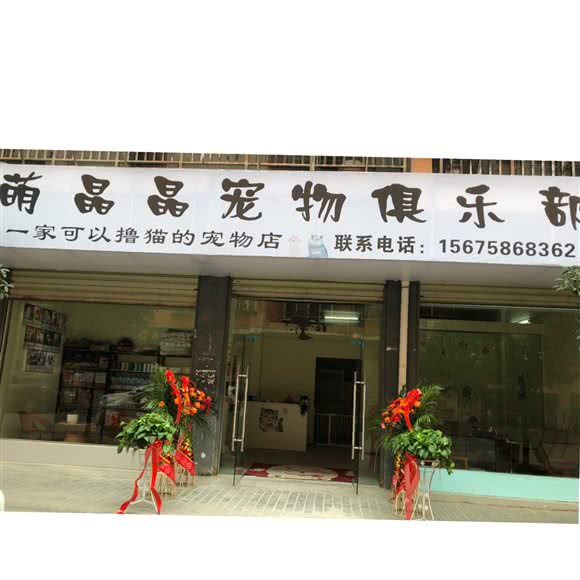 赤壁市萌丹丹宠物俱乐部:咸宁市赤壁市