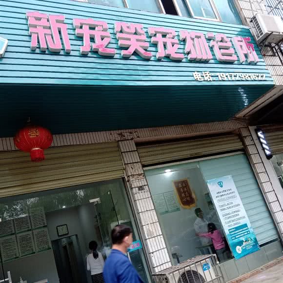 新宠笑宠物诊所:咸宁市赤壁市