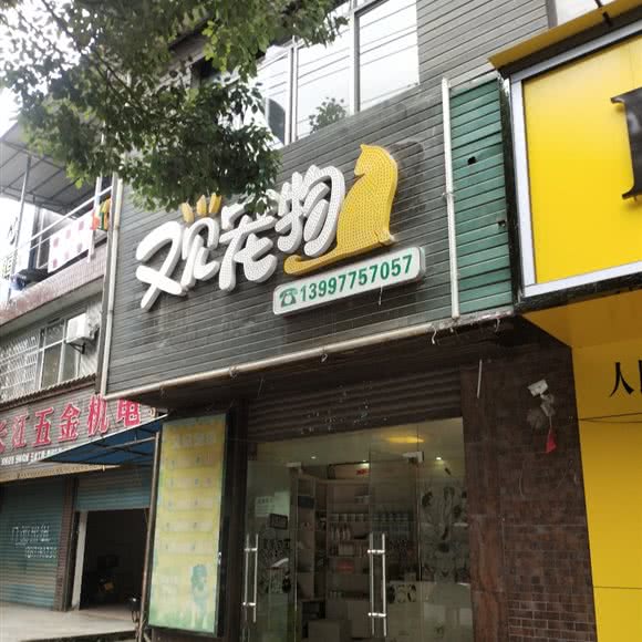 又见宠物:恩施土家族苗族自治州恩施市