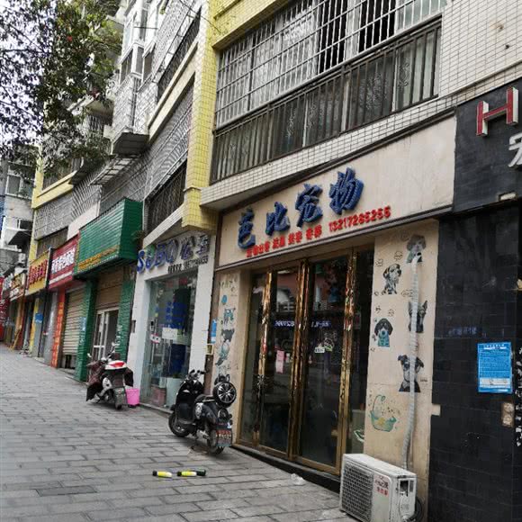 芭比宠物:恩施土家族苗族自治州恩施市