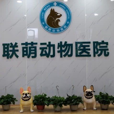 联萌动物医院:恩施土家族苗族自治州恩施市