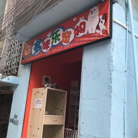 多咪乐宠物:恩施土家族苗族自治州利川市