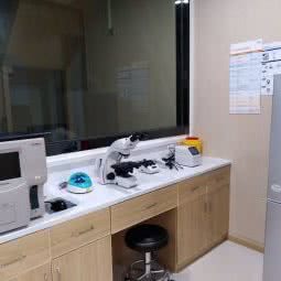 协和宠物:恩施土家族苗族自治州利川市