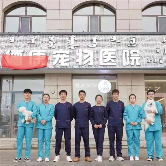 德康宠物医院(转诊中心):呼伦贝尔市海拉尔区河东附近