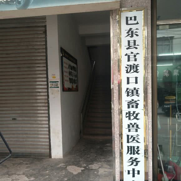 巴东县官渡口镇畜牧兽服务中心:恩施土家族苗族自治州巴东县