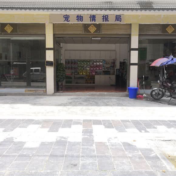 宠物情报局:恩施土家族苗族自治州来凤县