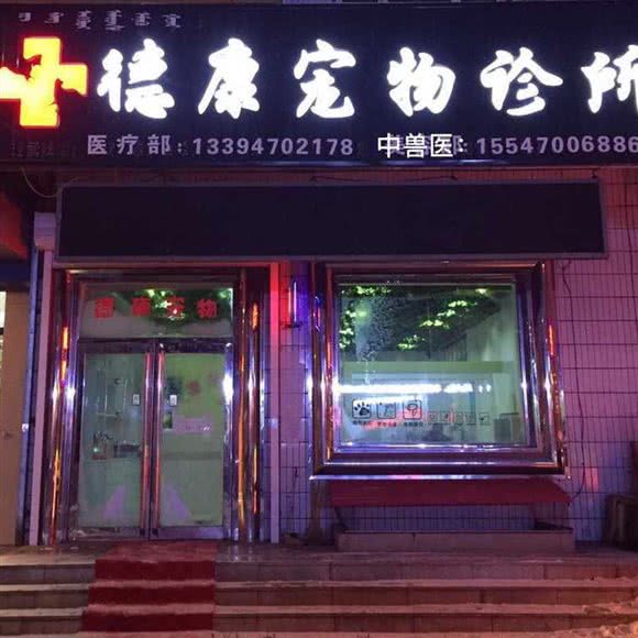 德康宠物诊所:呼伦贝尔市海拉尔区河东附近