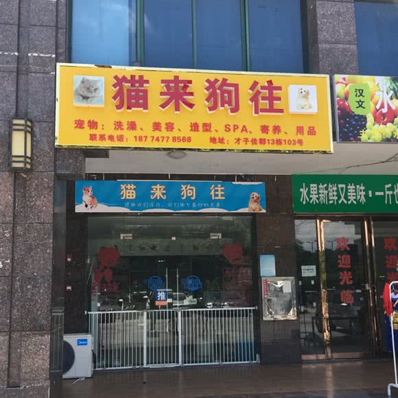 猫来狗往:长沙市芙蓉区