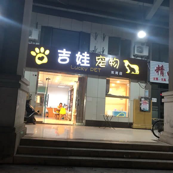 吉娃宠物:长沙市开福区