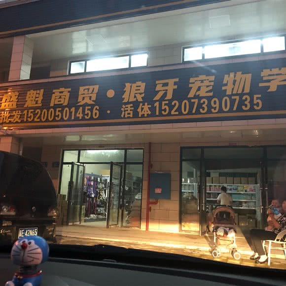 恒盛魁商贸·狼牙宠物学院:长沙市开福区