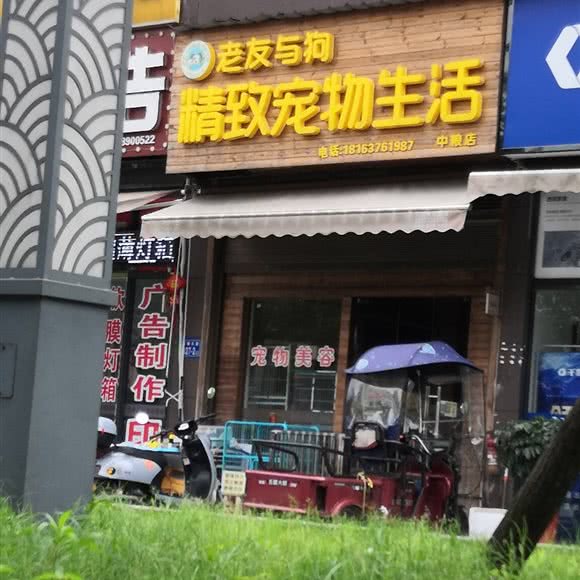 老友与狗精致宠物生活(中粮店):长沙市望城区