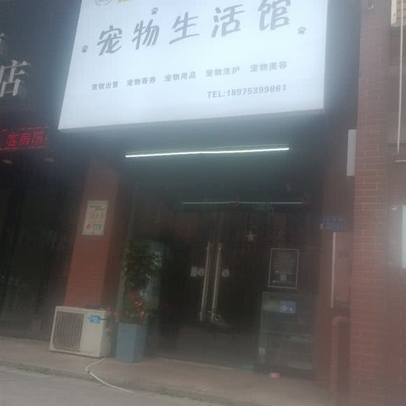 Terry狗狗生活馆:长沙市长沙县