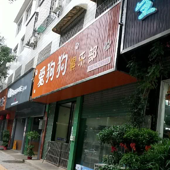 爱狗狗俱乐部:长沙市宁乡市