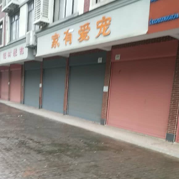 家有爱宠(Y614店):长沙市宁乡市