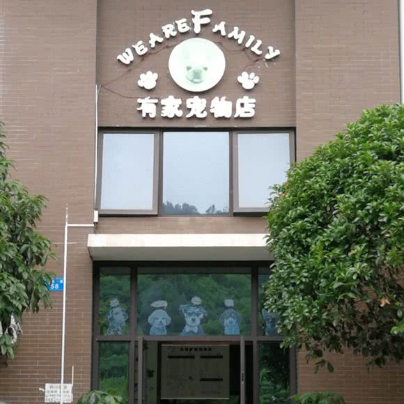 有家宠物店:株洲市芦淞区