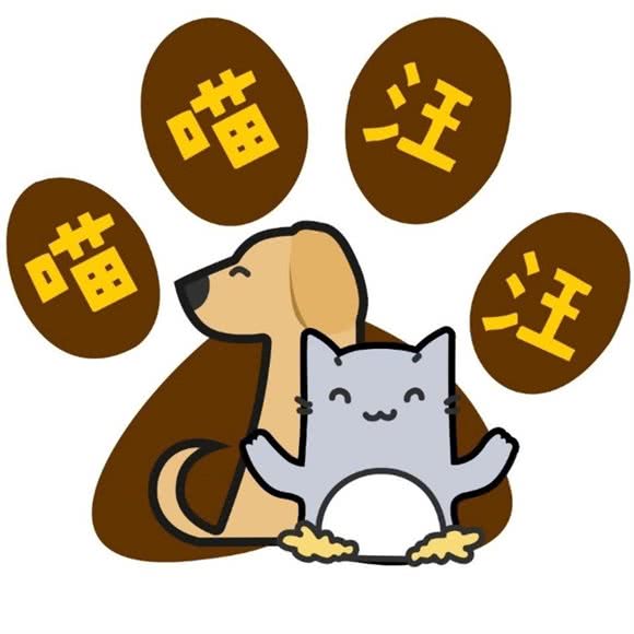 喵喵汪汪宠物馆:株洲市芦淞区