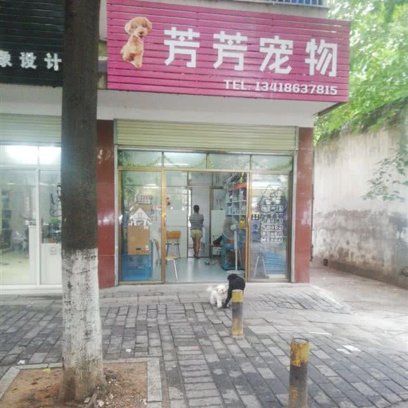 芳芳宠物:株洲市石峰区