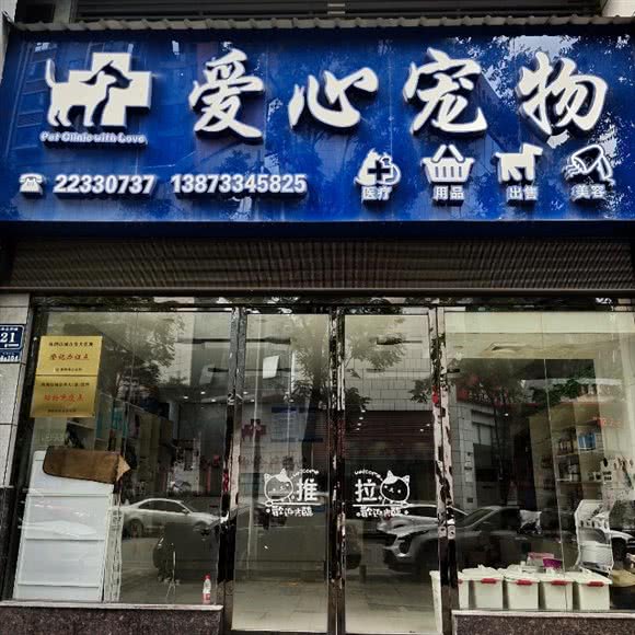 爱心宠物:株洲市天元区