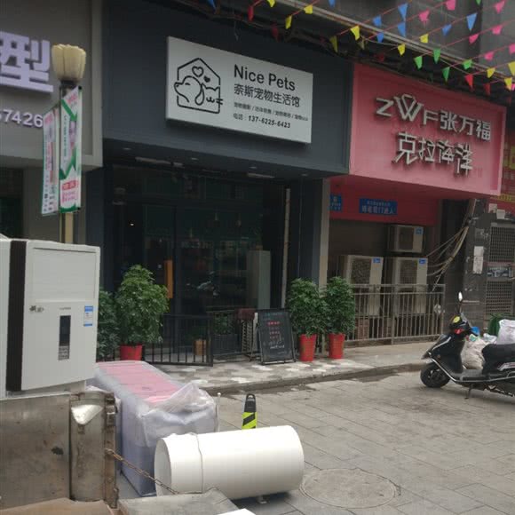 奈斯宠物生活馆:株洲市醴陵市