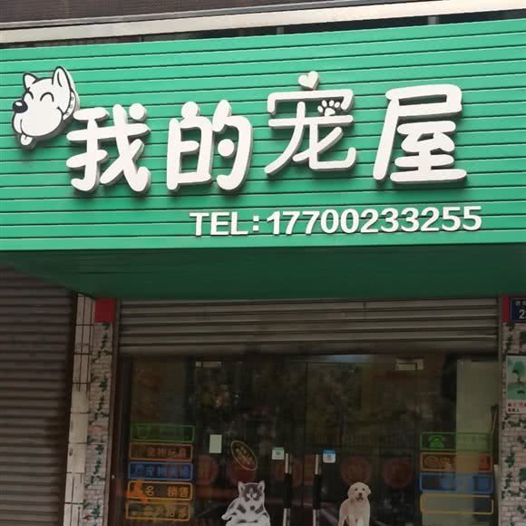 我的宠屋:湘潭市雨湖区