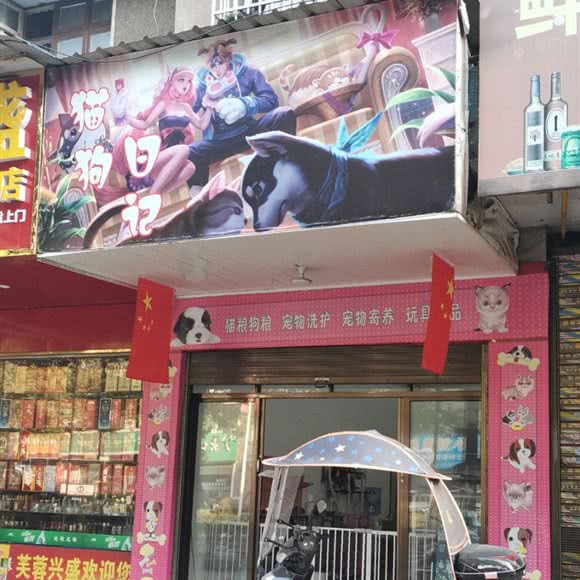 猫狗日记:湘潭市雨湖区