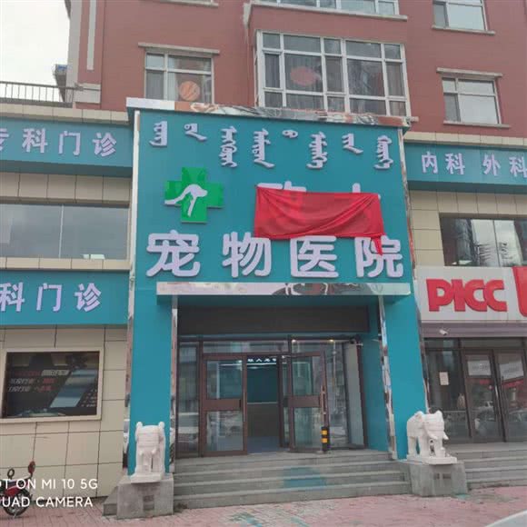 政大宠物医院:呼伦贝尔市海拉尔区河西开发区附近