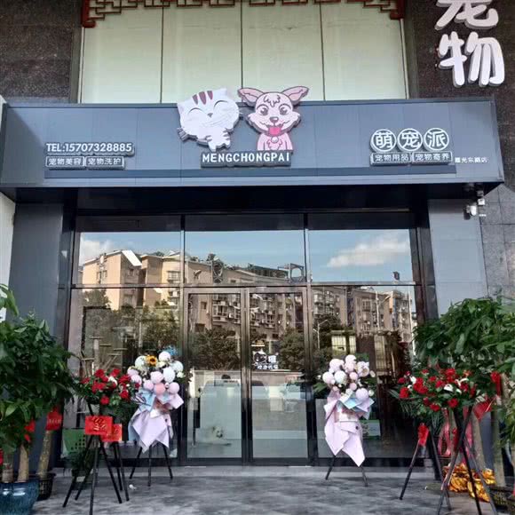 萌宠派宠物店(高新路店):湘潭市岳塘区