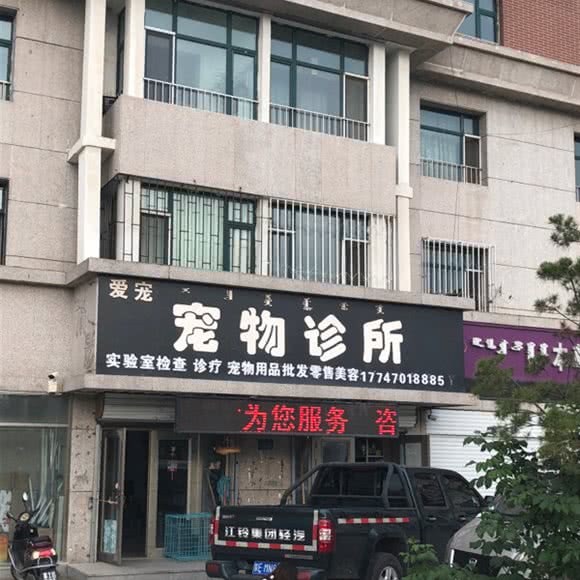 爱宠宠物诊所(建华路):呼伦贝尔市海拉尔区河西开发区附近