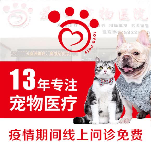 爱心宠物医院:湘潭市岳塘区