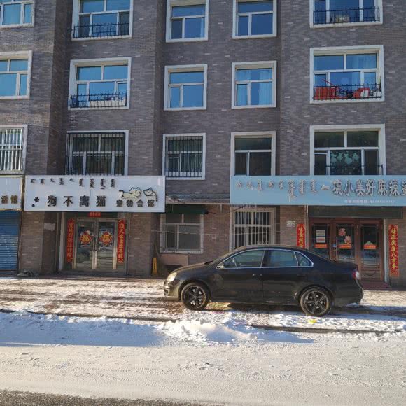 狗不离猫宠物会馆:呼伦贝尔市海拉尔区南门外附近