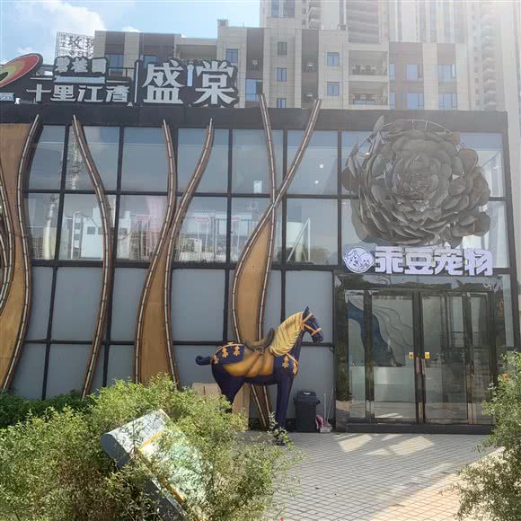 乖豆宠物:衡阳市蒸湘区