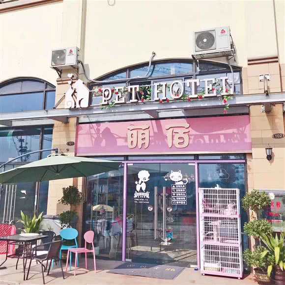 萌宿宠物酒店:衡阳市蒸湘区