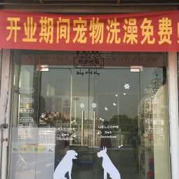 康希宠物店:衡阳市衡阳县