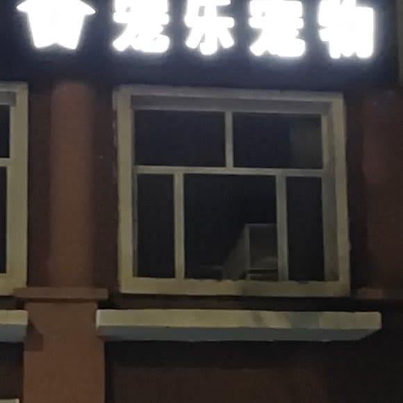 宠乐宠物:巴彦淖尔市临河区临河新区附近