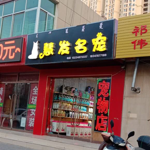 慧发名宠:巴彦淖尔市临河区临河新区附近