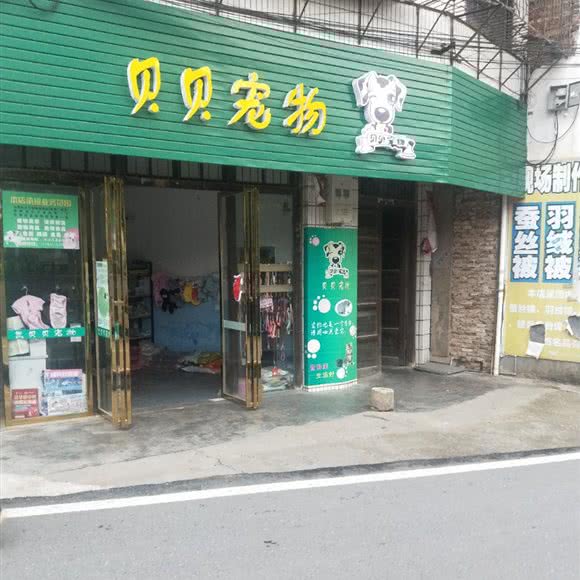 贝贝宠物:衡阳市祁东县