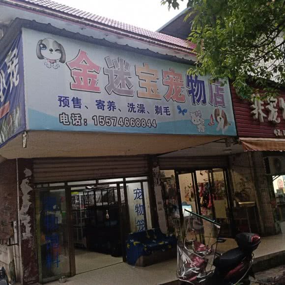 金迷宝宠物店:衡阳市耒阳市