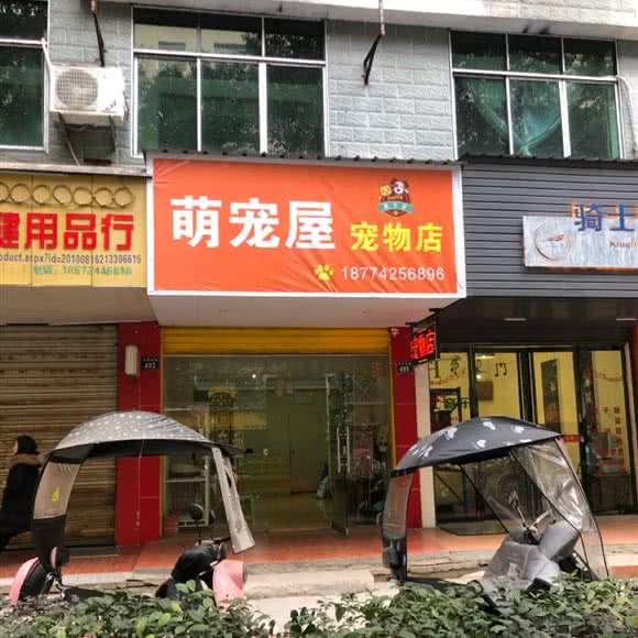 萌宠屋宠物店:衡阳市耒阳市