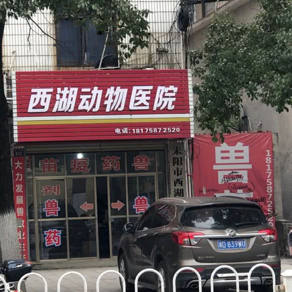 西湖动物医院:衡阳市耒阳市