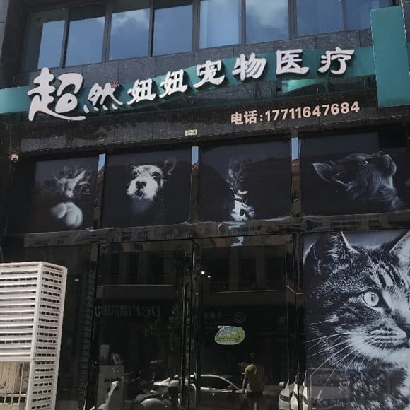 超然妞妞宠物医疗:衡阳市常宁市