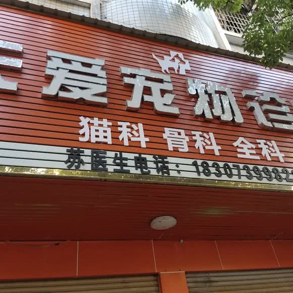 天爱宠物诊所:邵阳市双清区