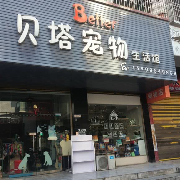 贝塔宠物:邵阳市大祥区